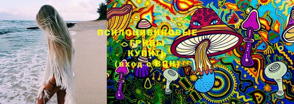 ешки Алзамай